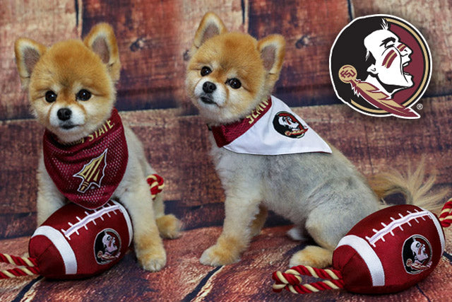 FSU Reversible Bandana Double Sided