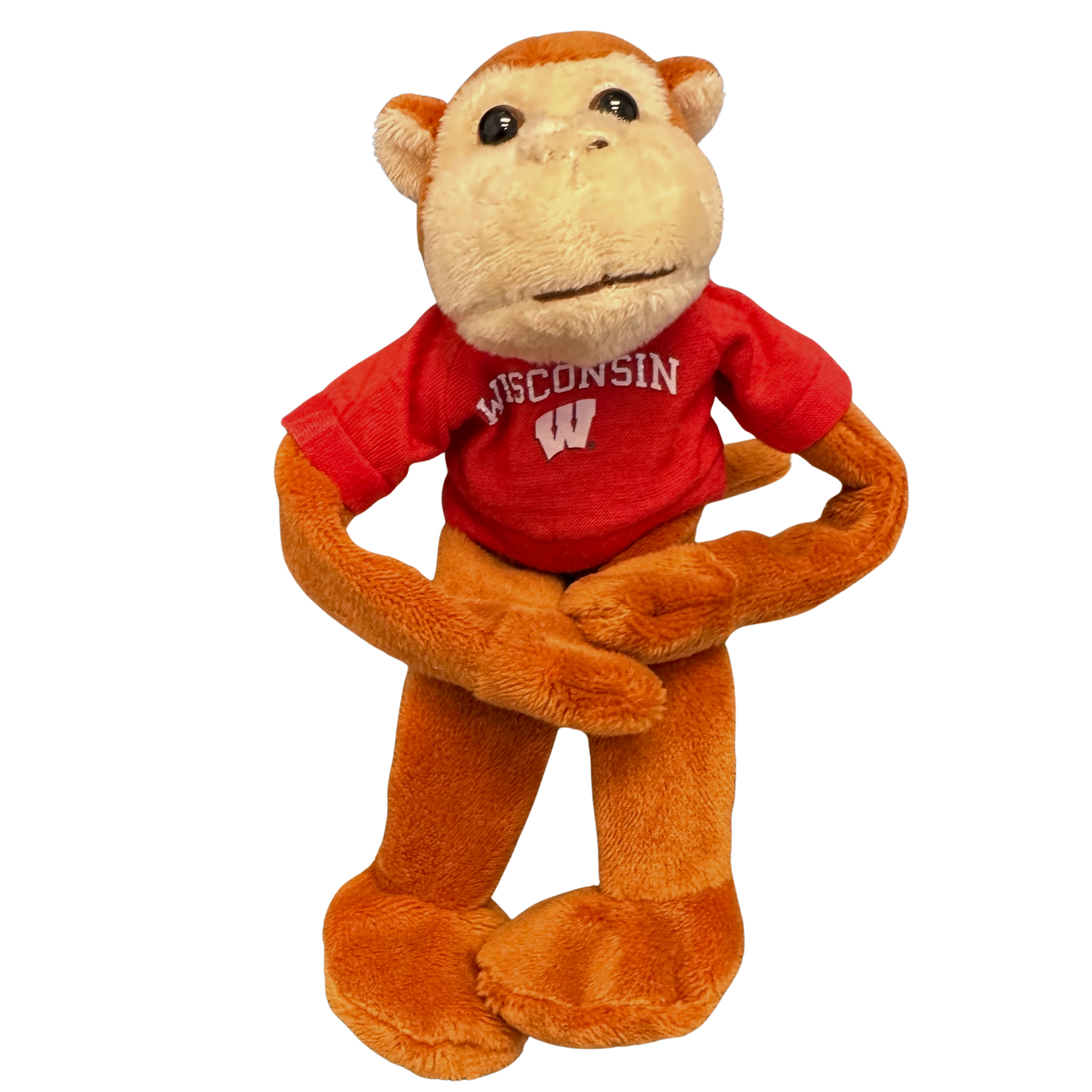 WISCONSIN Magnetic Monkey