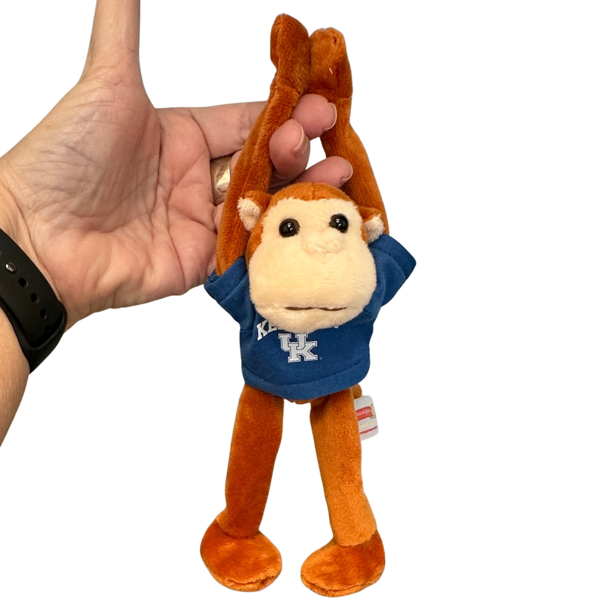 KENTUCKY Magnetic Monkey