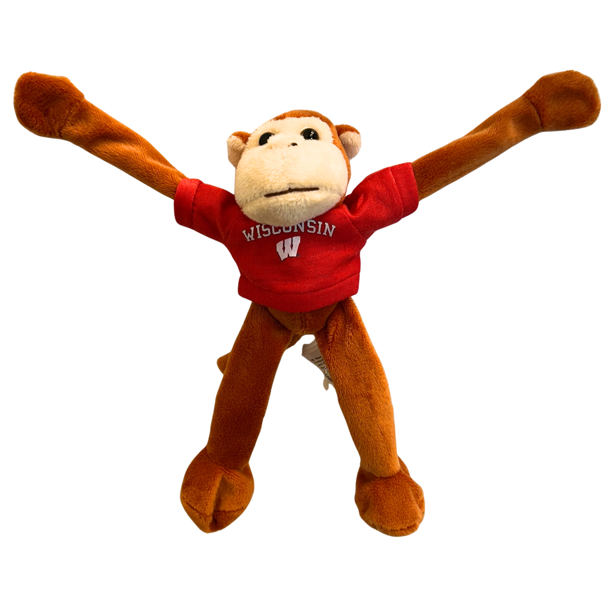 WISCONSIN Magnetic Monkey