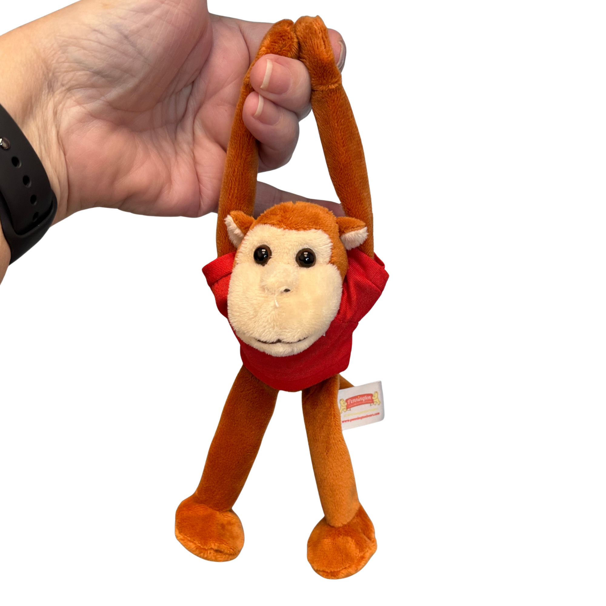 WISCONSIN Magnetic Monkey