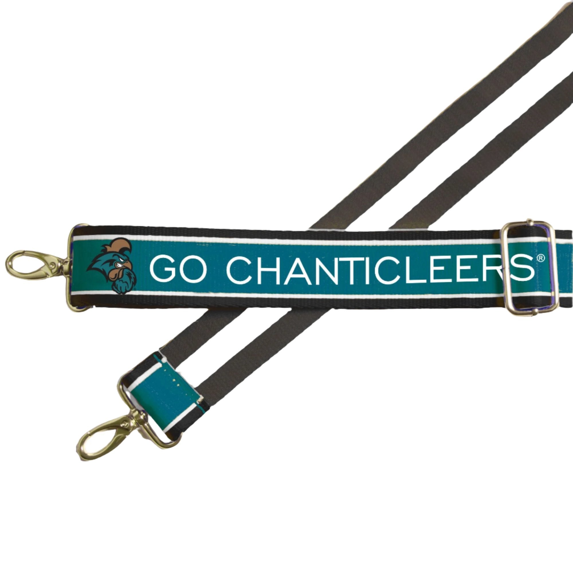 COASTAL CAROLINA 1.5" - Officially Licensed - Stripe