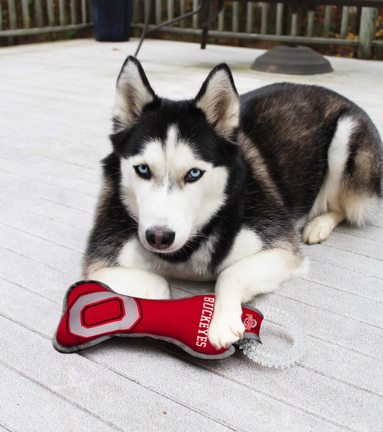 Ohio State Dental Tug Toy