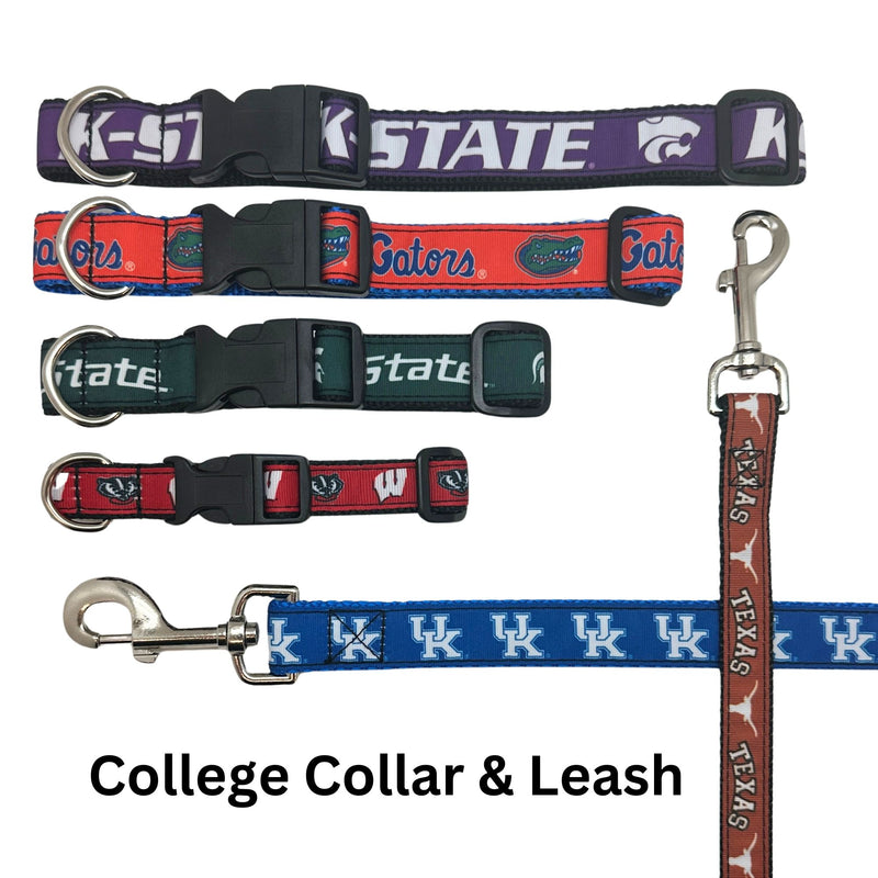 TCU Dog Leash & Collars