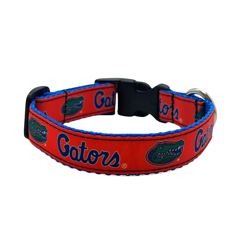 Florida Gators Dog Leash & Collars