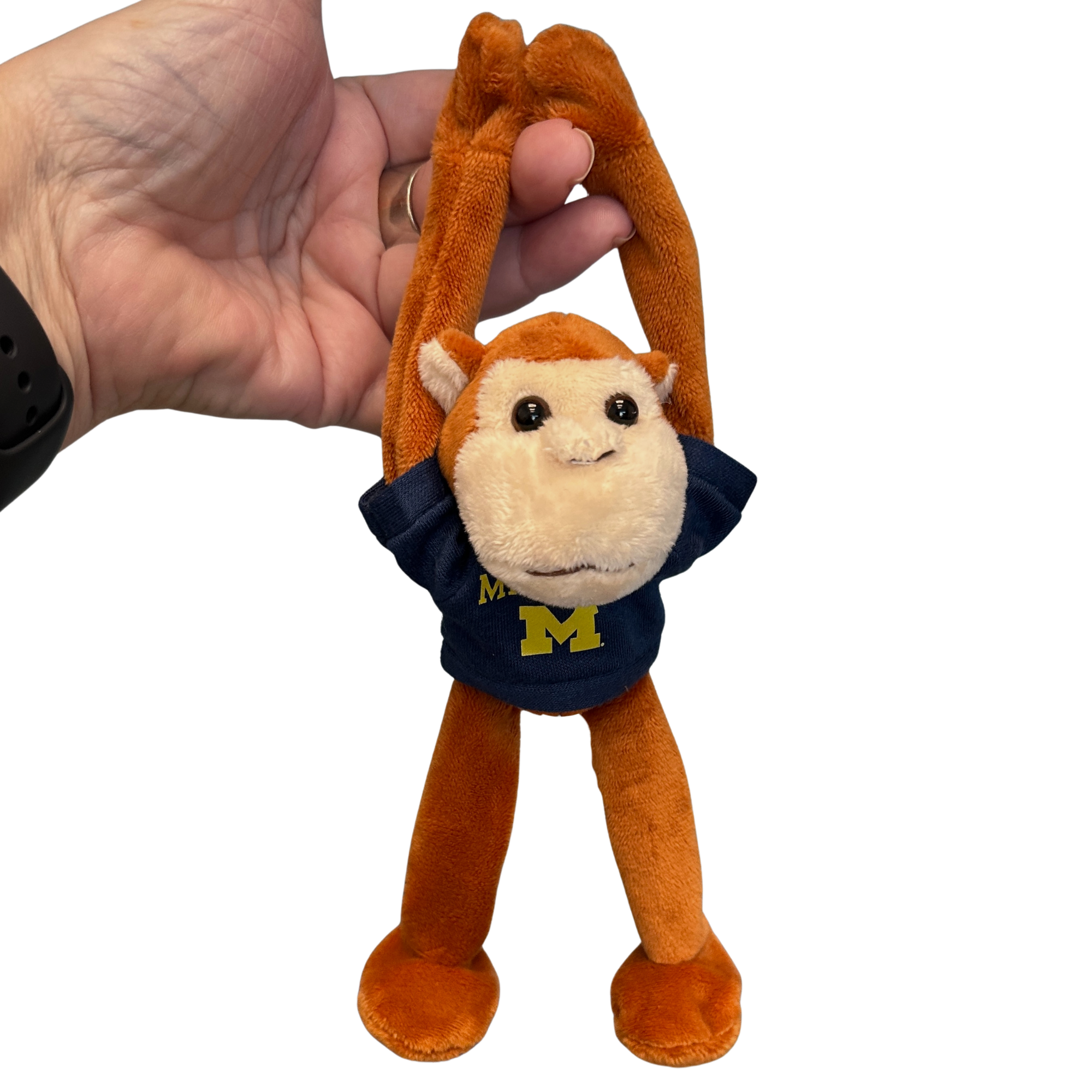MICHIGAN Magnetic Monkey
