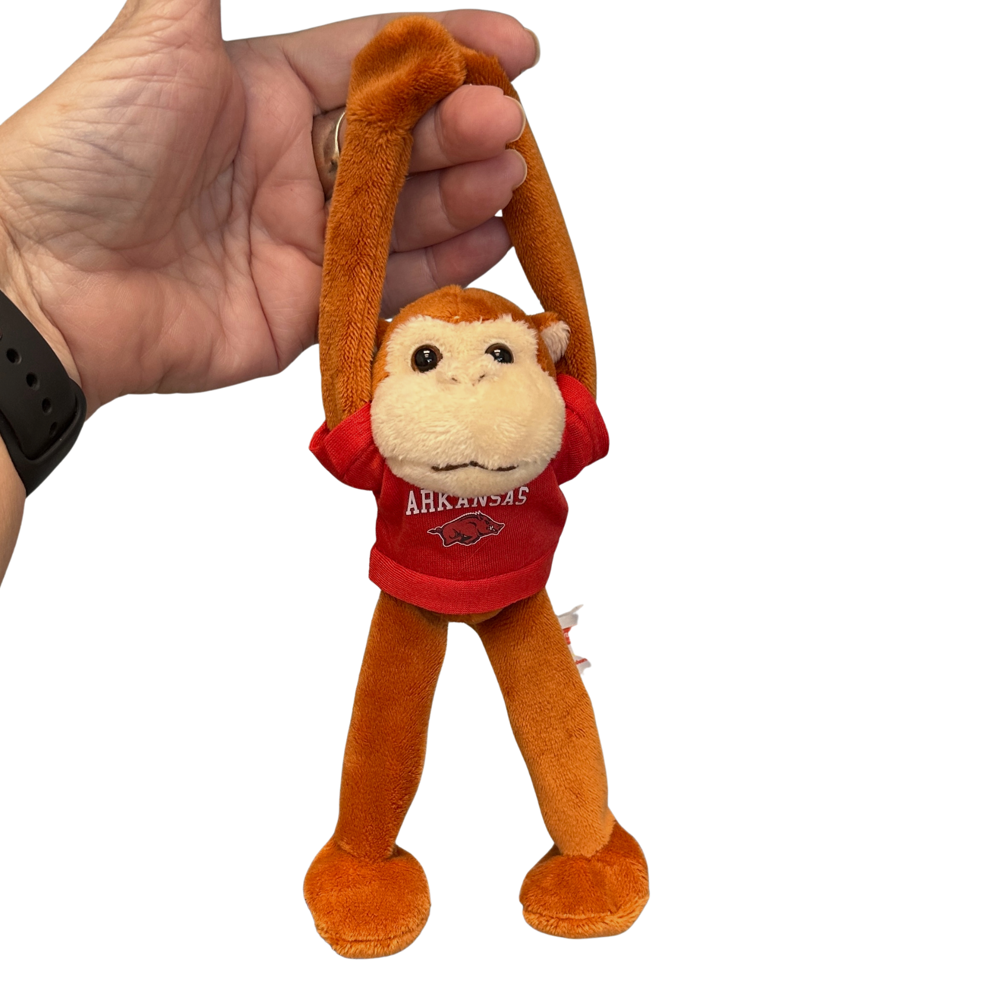 ARKANSAS Magnetic Monkey
