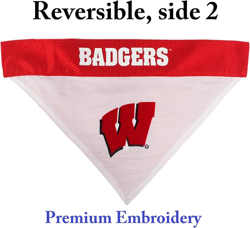 Wisconsin Reversible Bandana Double Sided