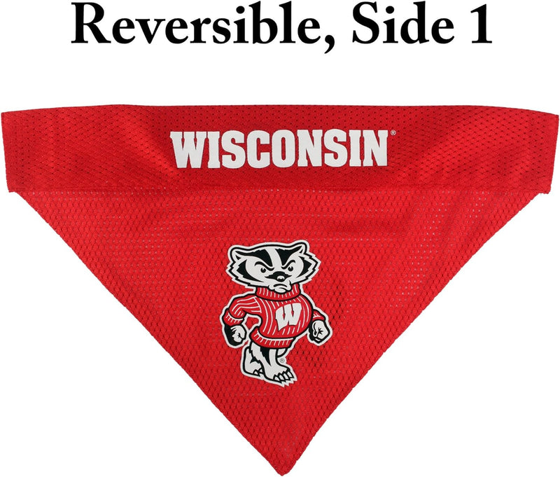 Wisconsin Reversible Bandana Double Sided
